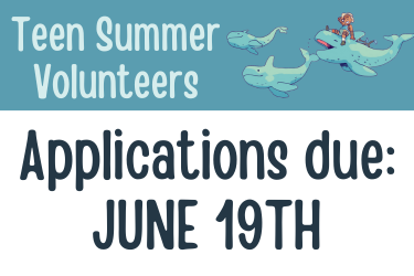teen summer volunteers applications due june 19th