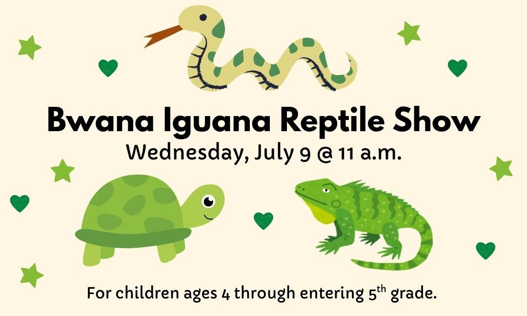 Bwana Iguana reptiles 