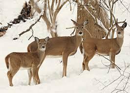 Tuesday November 18 at 1pm