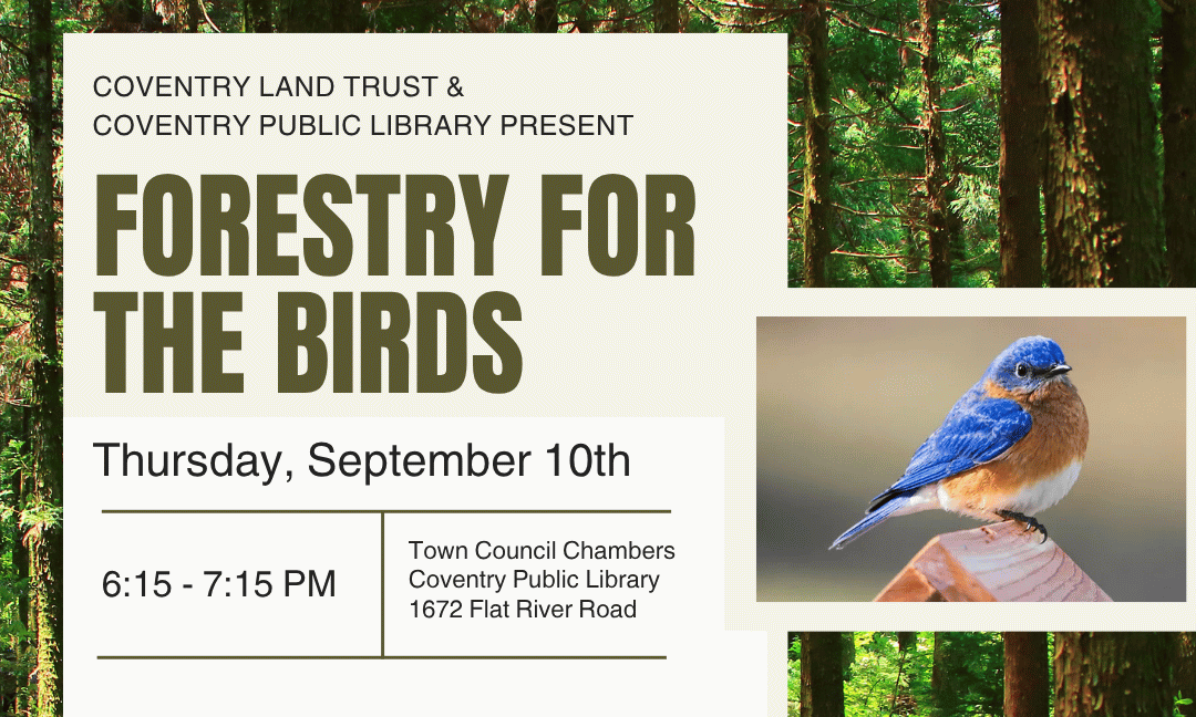 Forestry for the Birds at the Coventry Public Library